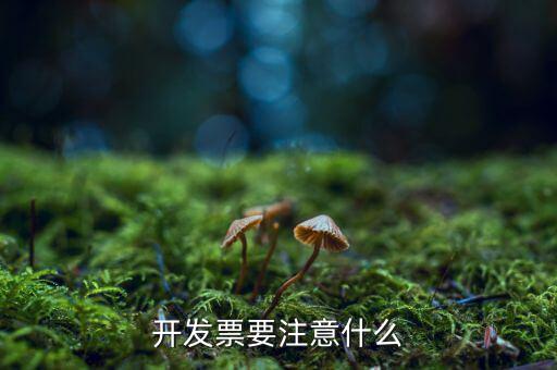 第一次開票注意什么，開發(fā)票要注意什么