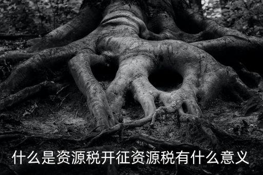 為什么開證資源稅，什么是資源稅開征資源稅有什么意義