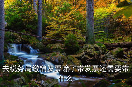 發(fā)票繳銷需要什么，未使用的發(fā)票如何繳銷需要哪些資料