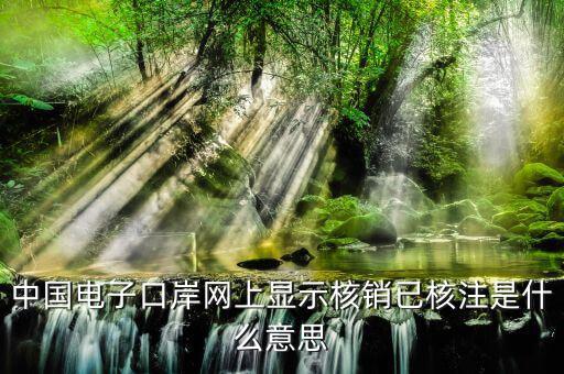 為什么核銷報(bào)驗(yàn)，中國(guó)電子口岸網(wǎng)上顯示核銷已核注是什么意思