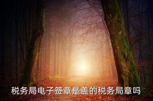 稅務(wù)局電子簽章是什么，在國稅系統(tǒng)電子簽章時為什么不是每次都提示輸入口令