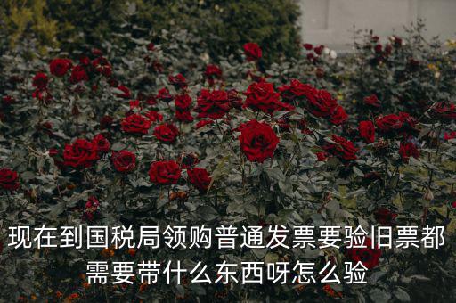 現(xiàn)在到國(guó)稅局領(lǐng)購普通發(fā)票要驗(yàn)舊票都需要帶什么東西呀怎么驗(yàn)