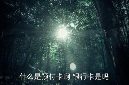 支付機(jī)構(gòu)預(yù)付卡是什么意思，銀聯(lián)預(yù)付卡是什么意思