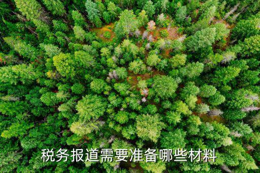 去國(guó)稅報(bào)道需要拿什么手續(xù)，剛申請(qǐng)的公司到稅務(wù)局報(bào)道需要手續(xù)