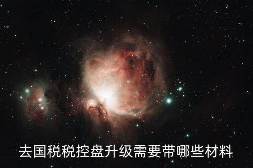 去國稅稅控盤升級(jí)需要帶哪些材料