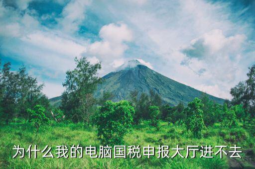 陜西國(guó)家稅務(wù)局為什么上不去，為什么我的電腦國(guó)稅申報(bào)大廳進(jìn)不去