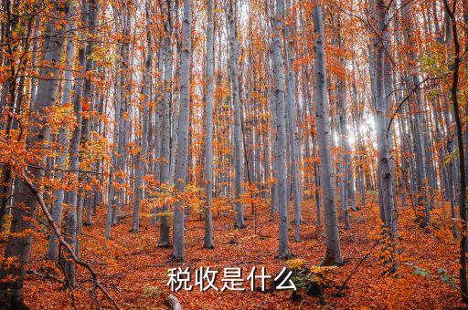稅務的稅稅通是什么，稅收通用繳款書上的代碼指的是什么