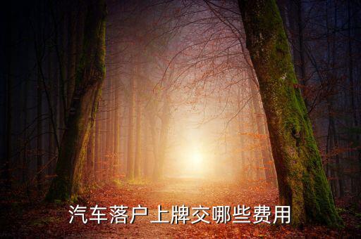 新車上牌要交什么稅，汽車落戶上牌交哪些費用