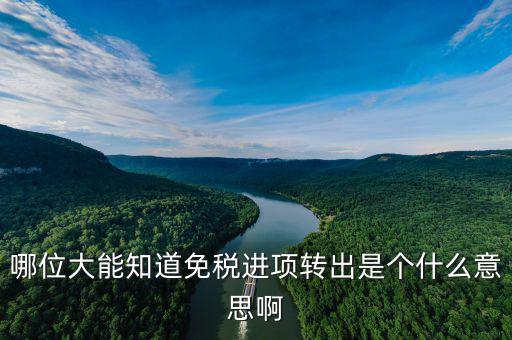 進項轉出是什么意思，哪位大能知道免稅進項轉出是個什么意思啊