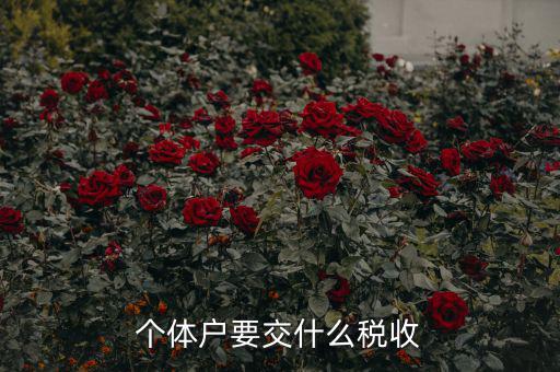 新開個(gè)體戶要交什么稅，我想開個(gè)小店當(dāng)個(gè)體戶請(qǐng)問要交什么稅