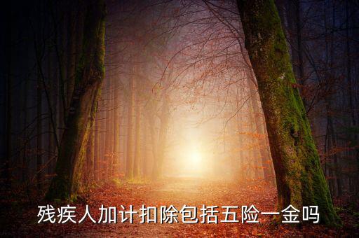 殘疾人加計(jì)扣除是什么意思，福利企業(yè)殘疾職工工資百分百加計(jì)扣除是怎么回事