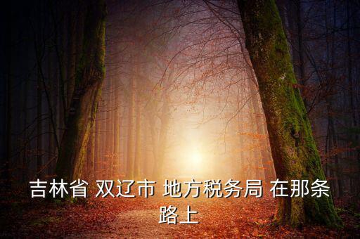 吉林市地稅局在什么位置，吉林市地方稅務局第二直屬稅務局在哪個區(qū)