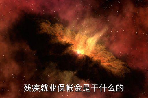 殘疾人保障金有什么用，殘疾就業(yè)保帳金是干什么的