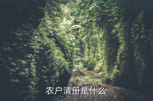 辦稅事項(xiàng)清冊是什么，會(huì)計(jì)檔案移交清冊什么意思