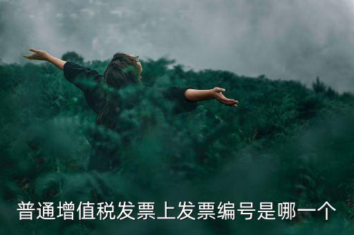 增值稅編號是什么，普通增值稅發(fā)票上發(fā)票編號是哪一個(gè)