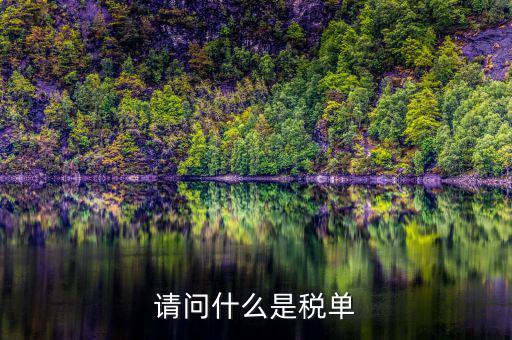 納稅申報(bào)單是什么，網(wǎng)上申報(bào)納稅都是什么報(bào)表 如何操作 簡(jiǎn)單么