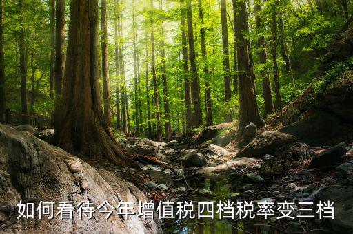 增值稅四檔稅率是什么意思，增值稅發(fā)票開四個(gè)點(diǎn)是什么意思