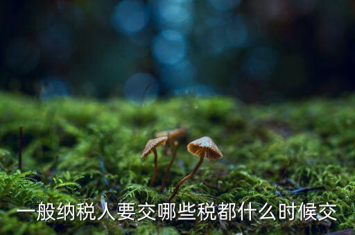 一般納稅人什么時候交稅，一般納稅人 普通發(fā)票開具后多長時間繳稅