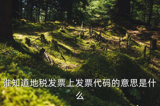 河北地稅發(fā)票的查詢碼是什么意思，如何查詢地稅發(fā)票開票點注冊碼是什么