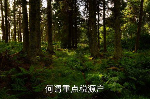 為什么要填重點(diǎn)稅源啊，重點(diǎn)稅源的介紹