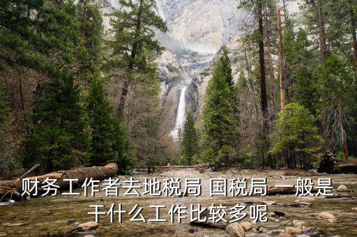 財務工作者去地稅局 國稅局 一般是干什么工作比較多呢
