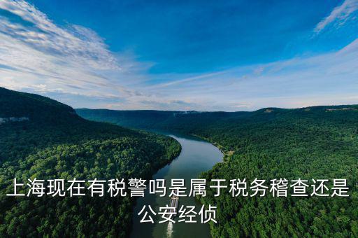 上?，F(xiàn)在有稅警嗎是屬于稅務稽查還是公安經(jīng)偵