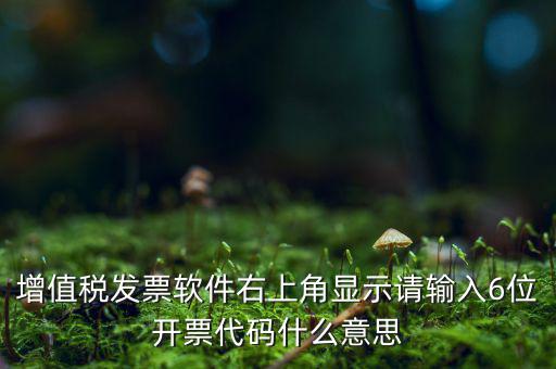 發(fā)票查詢校驗(yàn)碼后六位是什么，發(fā)票驗(yàn)證碼是什麼