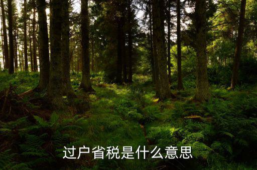 什么是賦稅，易稅是做什么的