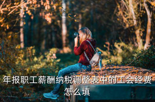 工會經(jīng)費減除項填什么，網(wǎng)上報稅時又多了一項工會經(jīng)費怎樣填寫計算