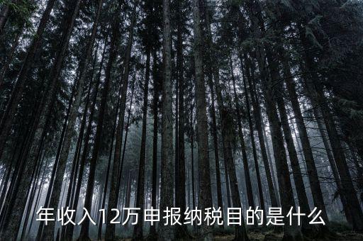 為什么12萬要報(bào)稅，年收入12萬個(gè)稅申報(bào)為什么要申報(bào)