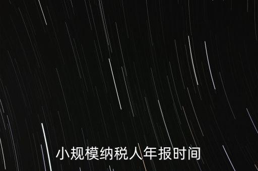 納稅申報(bào)年報(bào)什么時(shí)候，小規(guī)模納稅人年報(bào)時(shí)間