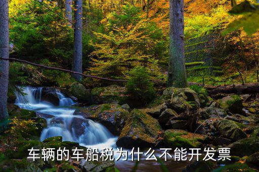 為什么車船稅沒有發(fā)票，車輛的車船稅為什么不能開發(fā)票