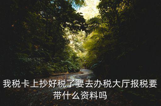 報稅廳抄報需要帶什么資料，抄稅需要帶些什么資料