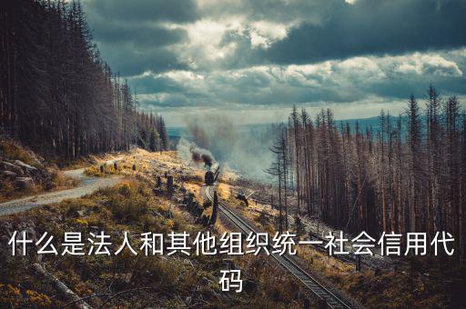 統(tǒng)一社會(huì)信用碼是什么意思，深圳碼統(tǒng)一社會(huì)信用代碼是什么