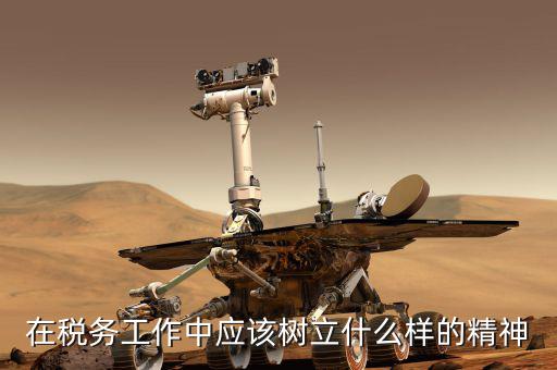 什么是地稅精神，在稅務(wù)工作中應(yīng)該樹(shù)立什么樣的精神