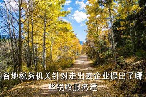 各地稅務(wù)機(jī)關(guān)針對走出去企業(yè)提出了哪些稅收服務(wù)建