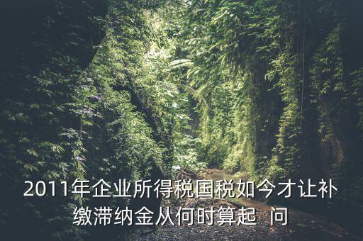 納稅滯納金什么時(shí)候算，企業(yè)所得稅滯納金計(jì)算從何時(shí)開始計(jì)算