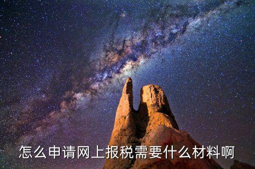 網(wǎng)上國稅報(bào)稅需要什么資料，怎么申請(qǐng)網(wǎng)上報(bào)稅需要什么材料啊