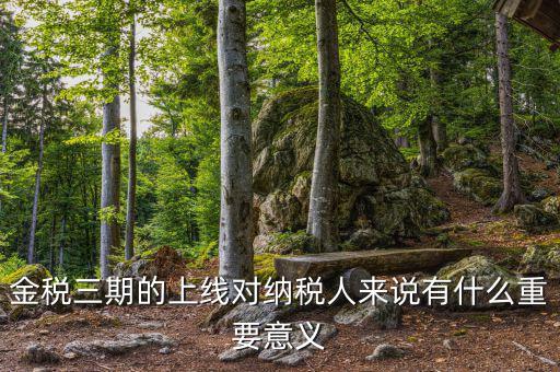 金三稅系統(tǒng)什么時間上線的，2016年金稅三期上線那金稅三期到底是啥呢