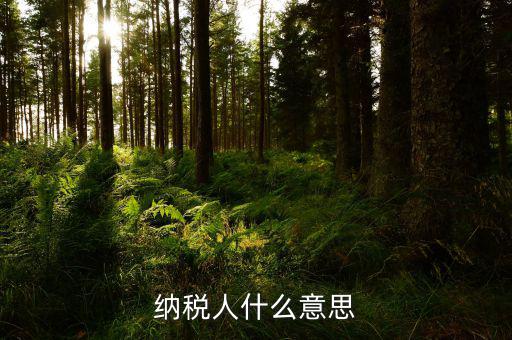 納稅資格什么意思，具有納稅人資格是什么意思