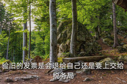 驗(yàn)舊的發(fā)票是會退給自己還是要上交給稅務(wù)局