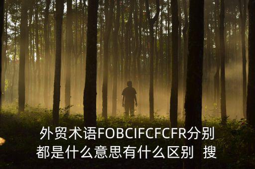 什么是被指定國別報(bào)告，什么是SGS