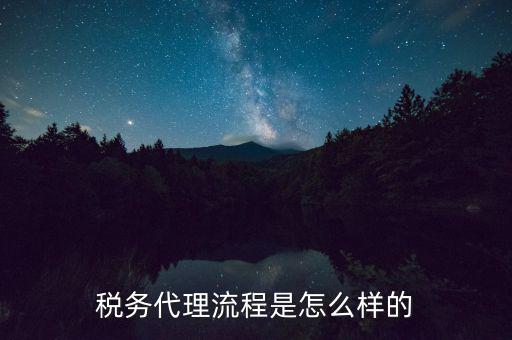 稅務代理人需要什么，代理到稅務機關開票需要哪些證件