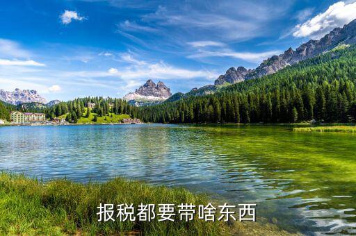 申報繳稅帶什么，報稅都要帶啥東西