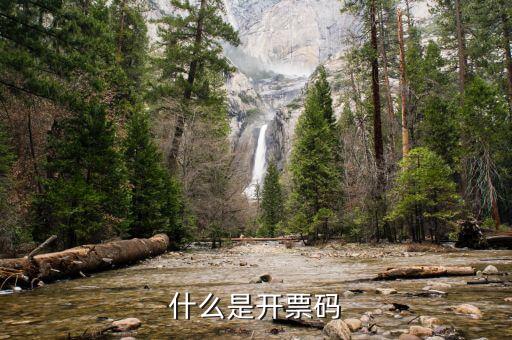 離線開(kāi)票認(rèn)證碼是什么，國(guó)稅機(jī)打發(fā)票驗(yàn)證碼是什么機(jī)打發(fā)票的軟件需要指定公司安裝嗎