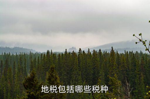 地稅包括什么，地稅包括哪些稅種