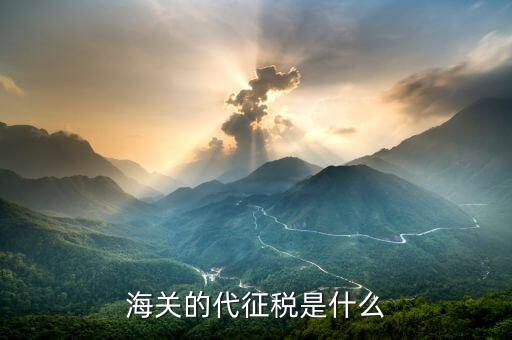 海關的代征稅是什么