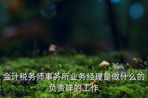 稅務(wù)師事務(wù)所做什么的，稅務(wù)所是干什么的