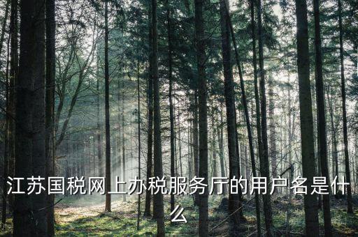 南京國稅局登陸名是什么，江蘇國稅網(wǎng)上辦稅服務(wù)廳的用戶名是什么