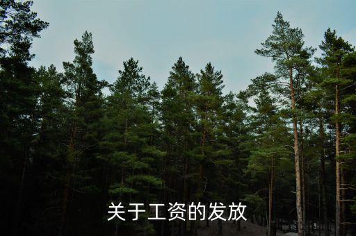 為什么沒有稅務(wù)帽，跑跑卡丁車怎么玩